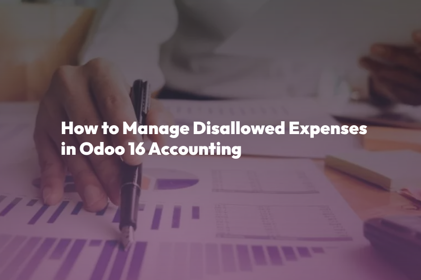 disallowed expenses